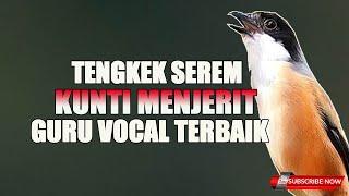 MASTERAN CENDET VIRALL TENGKEK BUTO FEAT KUNTI GURU VOCAL PALING HANDALL 