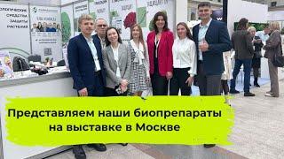 Мы на выставке Global Fresh Market