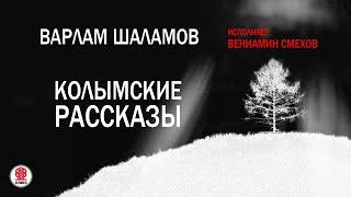 В. ШАЛАМОВ «КОЛЫМСКИЕ РАССКАЗЫ». Аудиокнига. Читает Вениамин Смехов