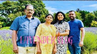 UK- Beauty  Travel  Vlog  Lavender Farm  Malayalam  Veena Anup️