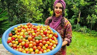 cooking Iranian grill chicken on fire  country girl has guests