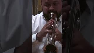 Momentazo de esta pieza de Ferrer Ferrán #trumpette #music #trumpeter #classicalmusic #trumpet