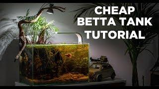BETTA TANK tutorial - Cheap and easy aquarium for BEGINNERS