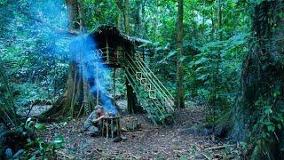 Full video 1 year Solo Bushcraft. Living and bushwalking in the rainforest  Bushcaft Survive.