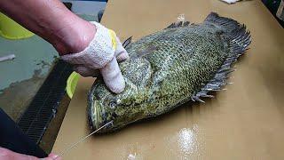 Japanese Slaughter Method For Tastier Fish Ike Jime  Watch Ikejime Method