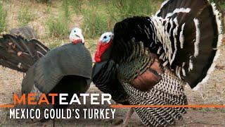 Sonoran Super-Birds Mexico Goulds Turkey  S2E12  MeatEater