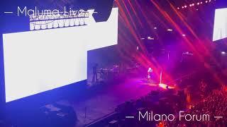 11 PM - Maluma Live Milano Forum 2022