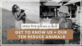 STORY FIVE - WHY WE MOVED TO BALI + MEET OUR TEN RESCUE ANIMALS