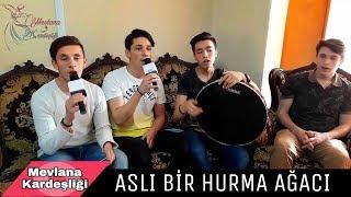 ASLI BİR HURMA AĞACI - Ağlar Hurmanın Kütüğü İlahisi