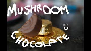 Making GOURMET Mushroom Chocolates at HOME
