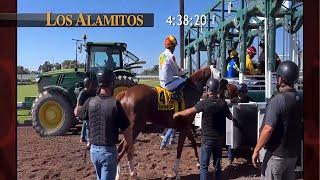 Los Alamitos Derby 2024 - it is a nosy situation