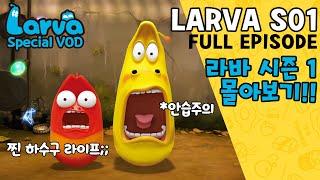 ▶LARVA S01  라바 시즌 1  FULL Episode  시간순삭 코믹 애벌레들의 하수구 생존기  케이블 TV_VOD