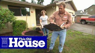 How to Fix a Patchy Weedy Lawn  This Old House