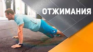 Отжимания. Техника выполнения Спортивный Бро