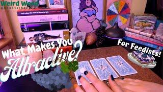 Feedists What Makes You So Attractive?  Tarot & Charm Divination