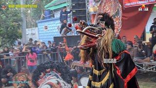 Singo Barong Bajang ft Jaranan New Srijoyo Putro. Nyadran Tempel 2023