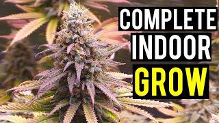 Seed To Harvest A Complete Indoor Cannabis Grow