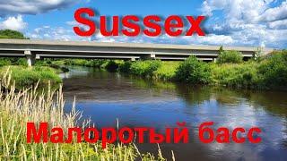 Рыбалка в Sussex клюет малоротый басс. Нью Брансуик река Кенебекейсис. Лето 2023.