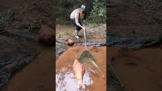 Fish trap paul cuffaro fish trap homemade catch em all fishing freshwater fishing