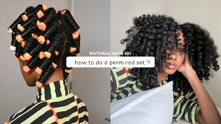 HOW TO DO A PERM ROD SET  Natural Hair 101