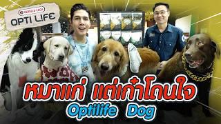 Petexpo2024 Optilife  I เพื่อนรักสัตว์เอ๊ย