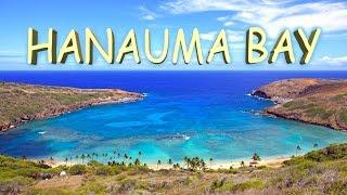 Hanauma Bay -  Oahu Hawaii 4K