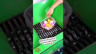 Tennis table balls into Shredder Machine   #shreddermachine #asmr #satisfying #oddlysatisfying