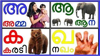 മലയാളം സ്വരാക്ഷരങ്ങളും വ്യഞ്ജനാക്ഷരങ്ങളും Malayalam alphabets and consonants @Prinitmalayalam