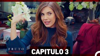 Fruto Prohibido Capitulo 3 Doblado en Español