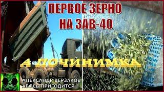 Началось в колхозе утро 77. Первое зерно на ЗАВ-40.