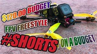 How To Build a PRO FPV Freestyle Drone for ONLY $120 #shorts