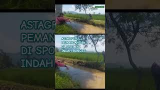 Pemandangan yang sangat indah #mancing #mancingdisungai #mancingmania