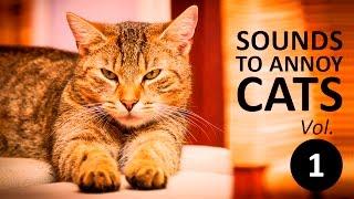 10 SOUNDS TO ANNOY CATS  Make your Cat Go Crazy HD Vol. 1