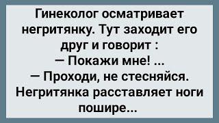 Друг Попросил Гинеколога Показать Сборник Свежих Анекдотов Юмор