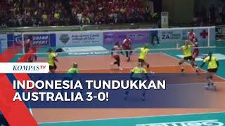 Taklukan Australia Tim Voli Putri Indonesia Tembus Semifinal di AVC Challenge 2023