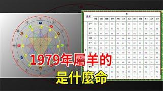 1979年屬羊的是什麼命，星座運勢大全