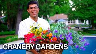 Secret Cut Flower Garden Tips Grow Harvest Arrange at Home in July