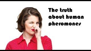 The truth about human pheromones