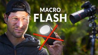 Flashes KILL Your Macro Photography Learning