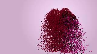 particles hearts - abstract valentines day animation   motion graphic  love 