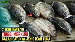 Inilah 7 JENIS IKAN YANG TINGGI MERKURI - Termasuk Ikan Tuna