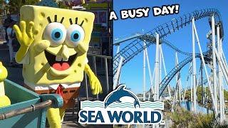 Sea World Gold Coast  July 2024 Park Visit & Update  Theme Park Video