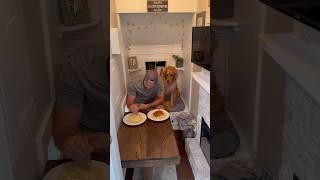 I ate Sunday Dinner in my dogs house #dog #goldenretriever