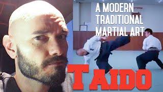 What do I think of Taido? MMA coach looks at a modern “traditional” martial art