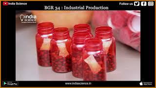 BGR 34 Industrial Production E