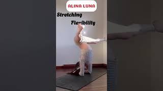 Morning Yoga Flexible Stretching Splits