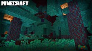 How to Find WARPED FORESTS in Minecraft 1.16.1