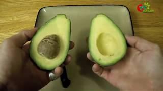 অ্যাভোকাডোAvocado-বাংলাদেশে হচ্ছে-গ্রাফটিংgrafting পদ্ধতি-পৃথিবীর অন্যতম পুষ্টিকর ফল