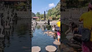 Wisata Tirtagangga Water Palace Taman Air Cantik di Bali #bali #tirtagangga #karangasem #fish