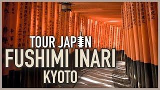 Guide to Fushimi Inari How to see all the red gates